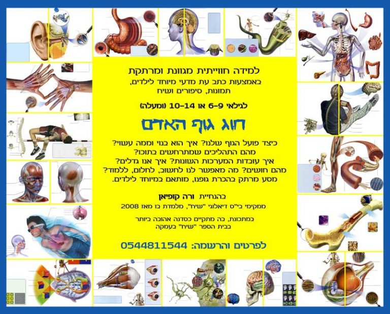 פלייר של חוג גוף האדם